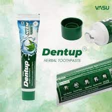 Vasu Dentup Herbal Neem Toothpaste | Ayurvedic Gum Care Toothpaste for Cavity Protection, Gum Strength, Fresh Breath | Fluoride-Free Natural Oral Care – 100g Each (Pack of 2)