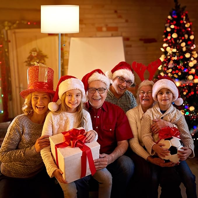 Ambimall Floor Lamps for Living Room with 3 Color Temperatures Bulb & Pull Chain Switch, 60" Modern Standing Floor Lamp for Bedroom Kids Room Study Room(White Shade & Silver Pole)