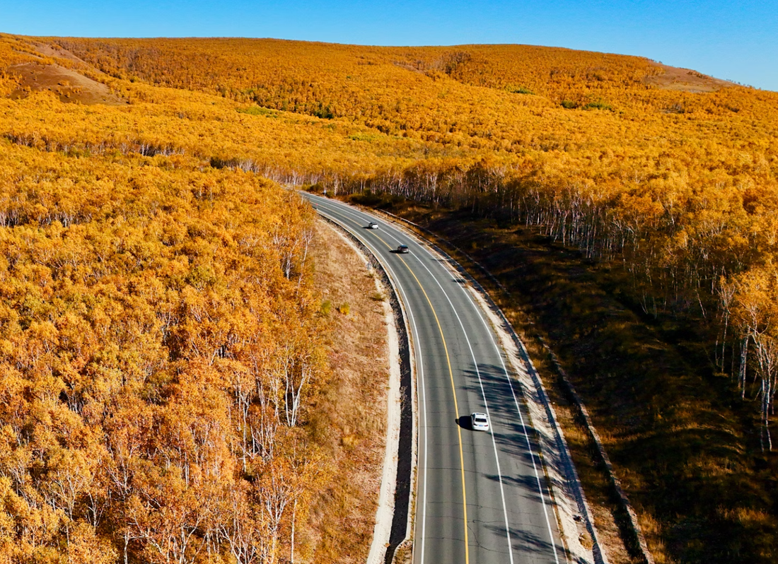 Earthy Curves & Vintage Texture: Fall 2025 Refresh Under $350