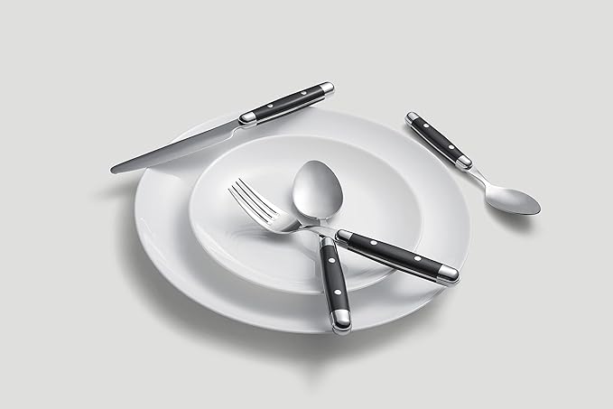 Cambridge Silversmiths 16 Piece Jubilee Flatware Set, Black