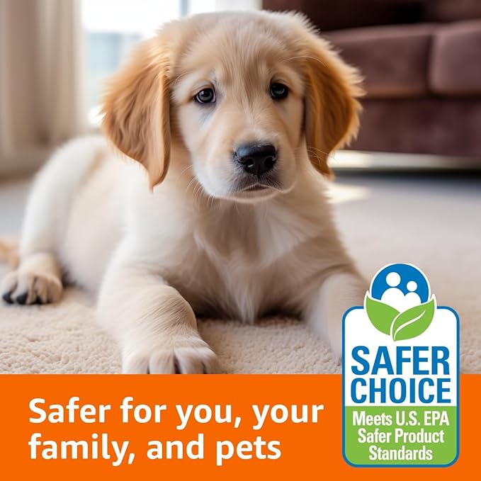 Amazon Basics Pet Stain Remover, Carpet Cleaner, Fresh Scent, 64 fl oz