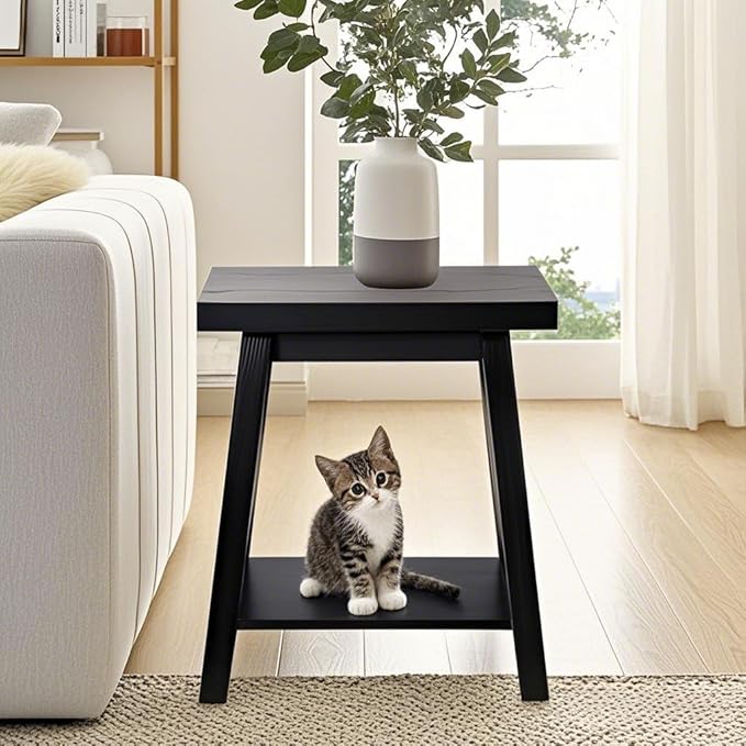 Black End Table, 2-Tier End Tables Living Room, Wood Side Table, Modern Side Table