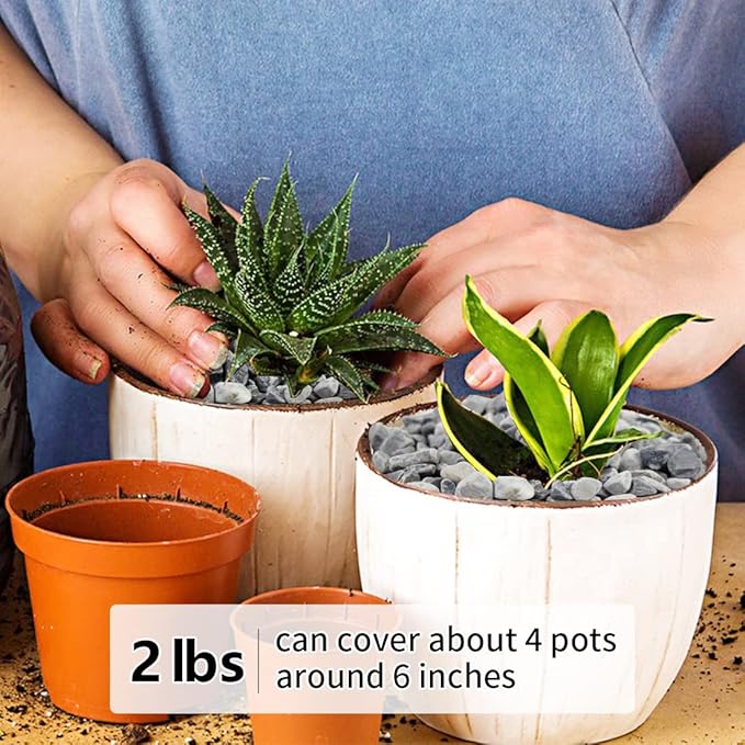 2LB Succulent and Cactus Gravel Pebbles, 1/5 Inch Natural Decorative Polished Stones, River Rocks for Plants, Vases, Aquariums, Terrarium and Outdoor Gardening,Grey