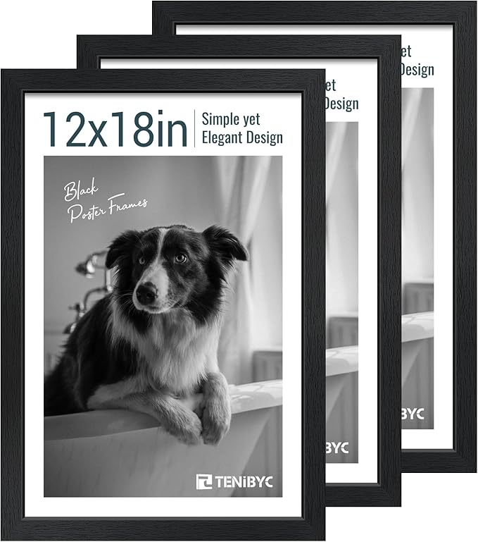 12x18 Poster Frame Set - 3 Pack, Textured Black Solid Wood with HD Tempered Glass, Wall Gallery Picture Photo Frame