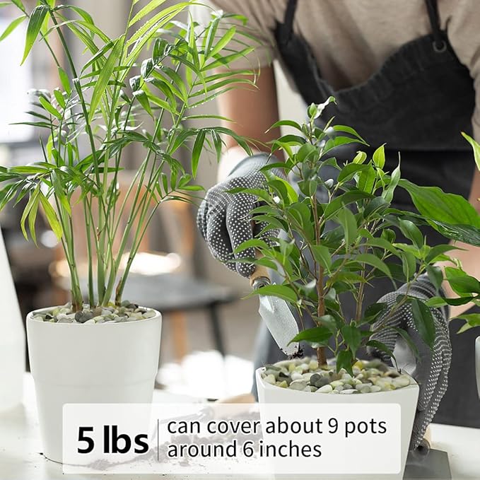 5LB Succulent and Cactus Pebbles, 1/5 Inch Jade Natural Decorative Polished Stones, River Rocks for Plants, Vases and Outdoor Gardening