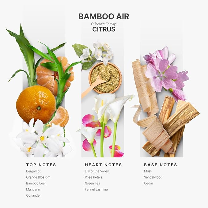Aromaplan Hotel Scents Bamboo Air 5 Fl Oz (2 Pack), Luxury Aroma & Hotel Fragrance Diffuser Oil- Hotel Diffuser Oil for Aromatherapy- USA Made, Bigger Bottle, Bolder Aroma & Longer Lasting