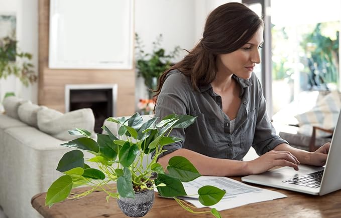 AlphaAcc Artificial Plants Potted Real Looking Small Faux Plant with Rustic Black Cement Planter for Kitchen Office Desk Bookshelf Decor (Ivy Plant)