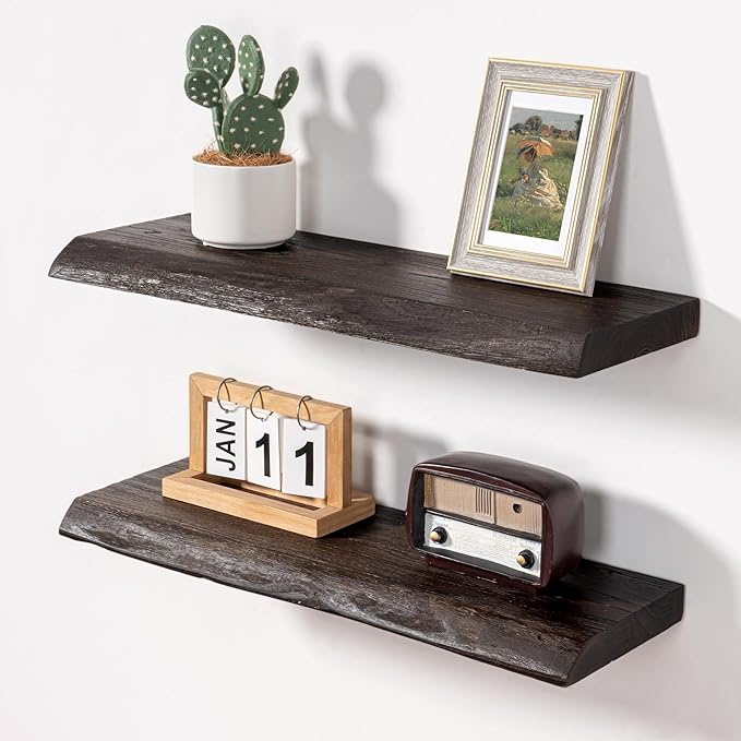 Axeman 24 inch Floating Shelves for Wall - 8'' D Live Edge Rustic Solid Elm Wood Floating Shelves Wall Mounted, Wall Shelves with Invisible Bracket for Living Room Bedroom Kitchen, Set of 2 Walnut