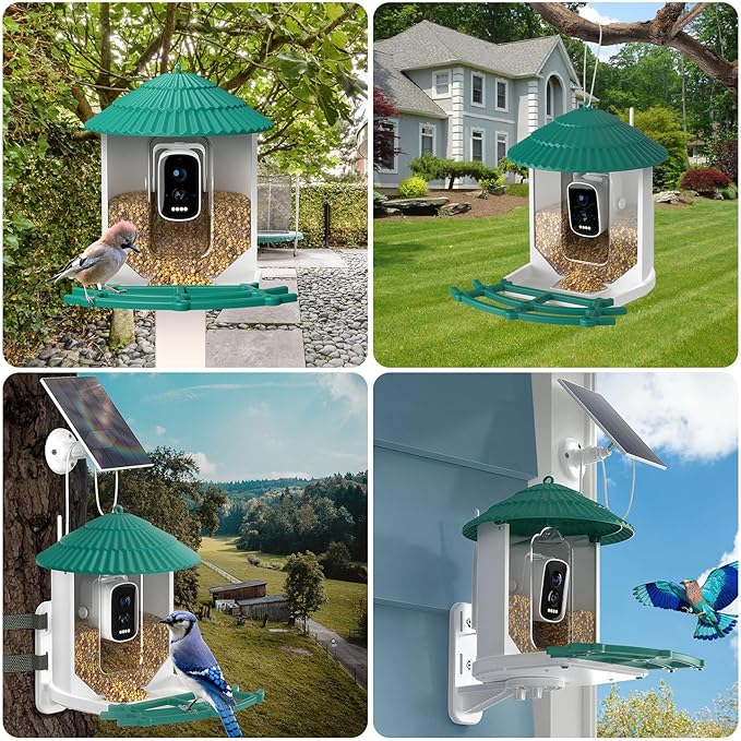 Bird Feeders for Outdoors, Smart Bird Feeder with Camera Solar Powered, AI Species Identification, 3K Video Live Stream Camera, 5Mp HD Night Vision, Instant Arrival Alerts