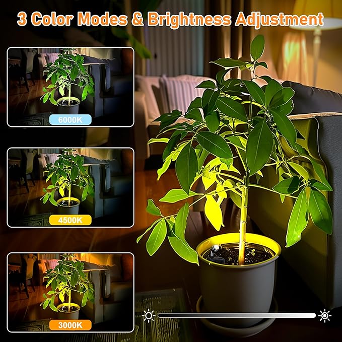 4 Pack Wireless LED Spotlights Indoor, Plant Battery Operated Tree Lights, Uplighting Picture Light with Remote, Accent Lights for Display Artwork Dartboard