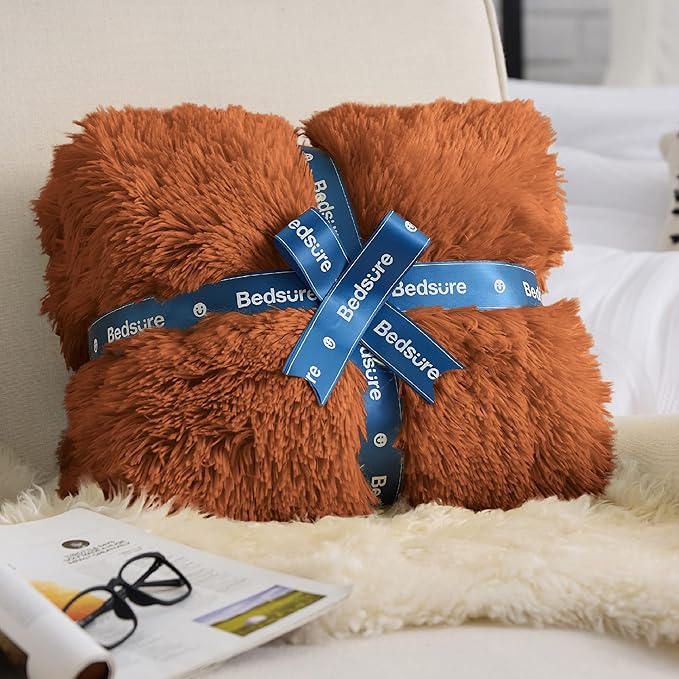 Bedsure GentleSoft Fluffy Burnt Orange Blankets Queen Size for Bed, Cozy Thick Sherpa Faux Fur Fleece Fuzzy Plush Winter Warm Soft Full Queen Blankets, Bedroom Decor Orange Gifts for Women Men, 90x90