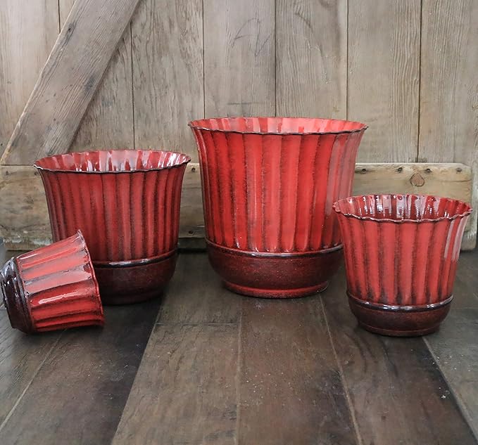 12" Revere - Autumn Blaze