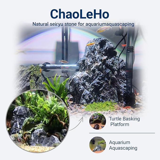 Aquarium Rocks Seiryu Stones Natural Hardscape Stone for Aquariums, Fish Tanks, Bonsai, Terrariums, Wargaming Dioramas, Indoor or Outdoor Gardens-5Lb(2-6 Inch)