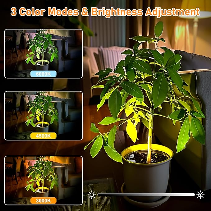 4 Pack Wireless Spot Lights Indoor, Battery Operated Uplighting, Mini Spotlight with Remote 3CCT Tree Lights Indoor, Accent Wall Lights for Display Plant Picture Dartboard