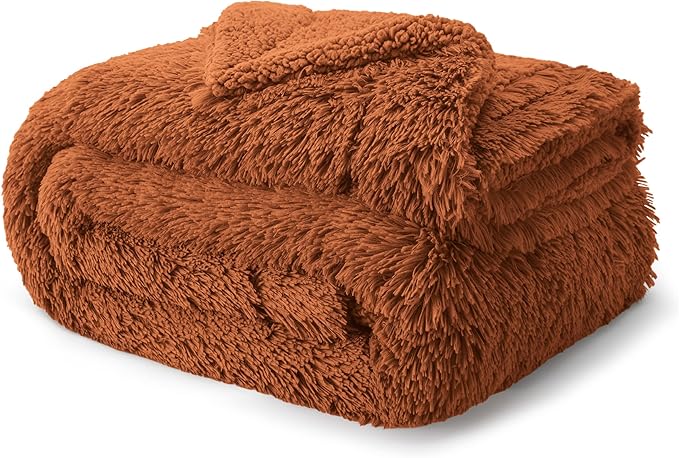 Bedsure GentleSoft Fluffy Burnt Orange King Size Blanket for Bed, Thick Soft Sherpa Faux Fur Fleece Bedding Fuzzy Plush Winter Warm Heavy Large King Blanket, Cozy Orange Gifts for Men Women, 108x90