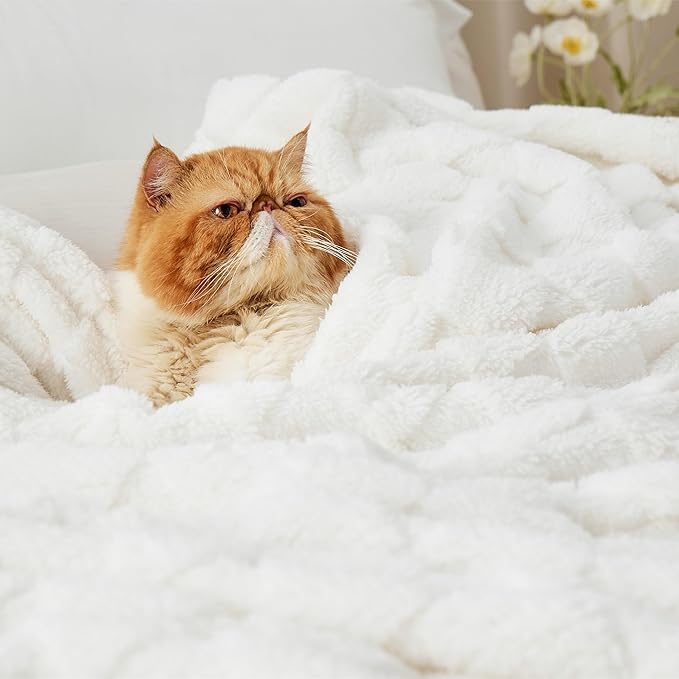 Bedsure GentleSoft King Size Blanket for Bed - Super Soft Cozy Blankets for Women Men Girls, Large Fuzzy Fleece Throw for Bedroom Decor, White,108x90 Inches