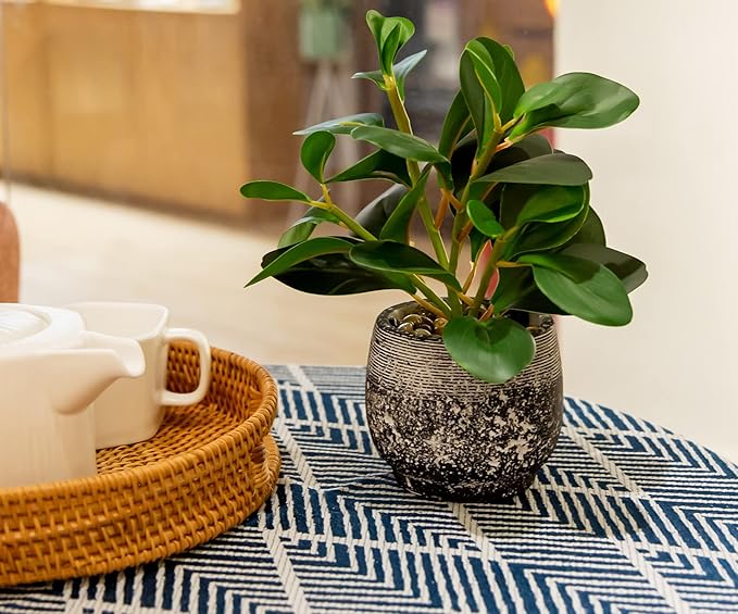 AlphaAcc Artificial Plants Potted Real Looking Small Faux Plant with Rustic Black Cement Planter for Kitchen Office Desk Bookshelf Decor (Ficus Plant)