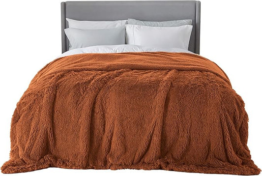Bedsure GentleSoft Fluffy Burnt Orange Blankets Queen Size for Bed, Cozy Thick Sherpa Faux Fur Fleece Fuzzy Plush Winter Warm Soft Full Queen Blankets, Bedroom Decor Orange Gifts for Women Men, 90x90