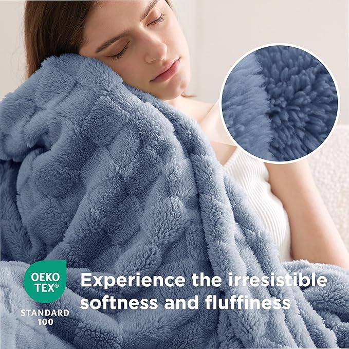 Bedsure GentleSoft Blankets Queen Size for Bed - Super Soft Cozy Blanket for Women Men Girls, Large Fuzzy Fleece Throw for Bedroom Decor, Ashley Blue, 90x90 Inches